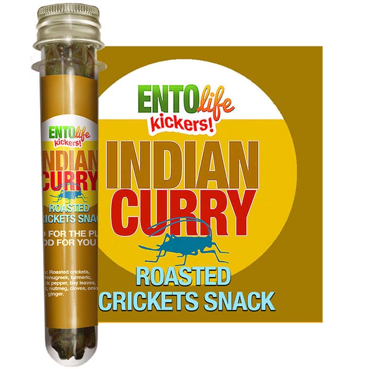 Criket snack indian curry